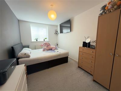 Picture 7